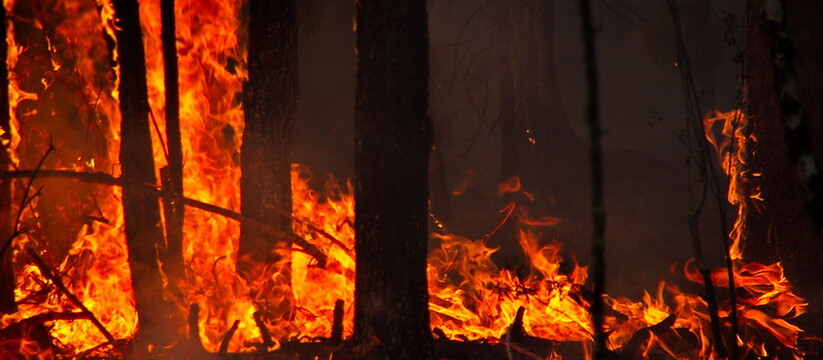 Высокая пожарная опасность 4-го класса ожидается в западной половине и северо-восточных районах Краснодарского края.