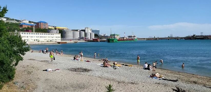 Волочаевский пляж Новороссийска могут отдать "Порт Виктория" по решению Верховного суда РФ