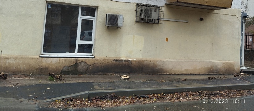 В Новороссийске возле соцзащиты вырубили деревья и кустарники
