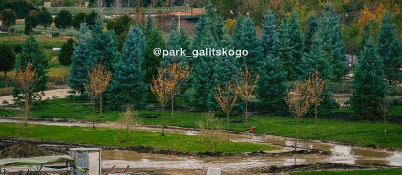 В парке Галицкого в Краснодаре показали ход строительства седьмой очереди – «Парка Облаков»