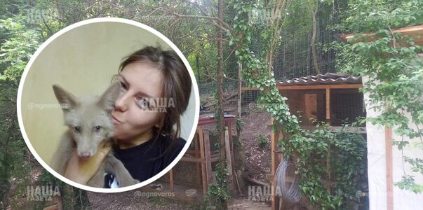 "Они - не шубы!": жительница Новороссийска выкупает пушных зверьков со звероферм в свой приют, нужна помощь
