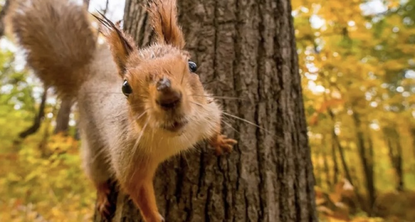 Синоптики заявили о суперпогоде в Краснодарском крае на праздники
