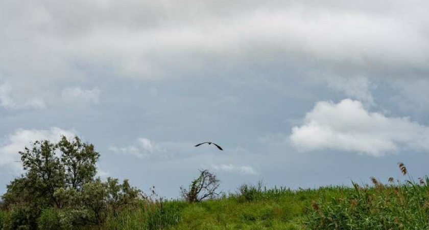 Депутат Госдумы Иван Демченко: Мы обязаны сохранить живой мир лиманов для будущих поколений!