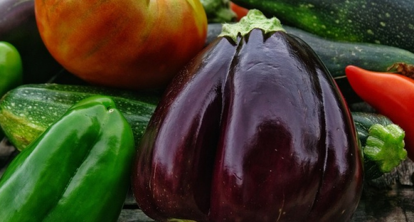 Стакан на ведро — и огурцы с помидорами плодоносят, как соперники: что творит дармовой настой из самой дешевой крупы