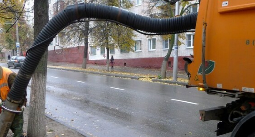 Удивительное – рядом: в Новороссийске стали «пылесосить» городские аллеи