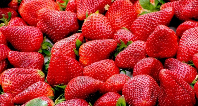 Обильный урожай клубники: добавьте всего 1 ложку в ведро