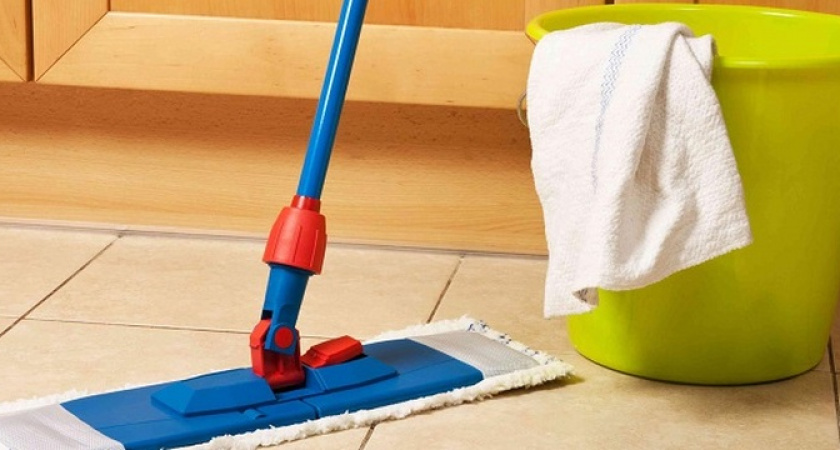 Лайфхак для любителей домашних животных: чем моют пол владельцы четвероногих друзей