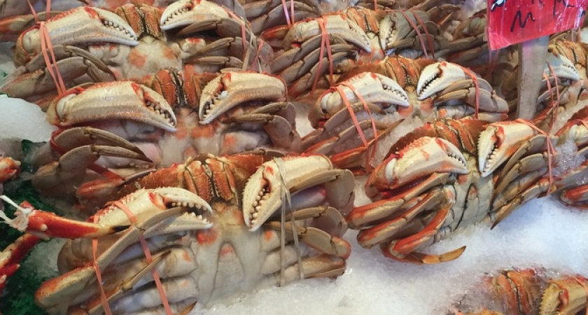 Инспекторы Россельхознадзора Новороссийска не пустили 19 тонн камчатского краба в Арабские Эмираты