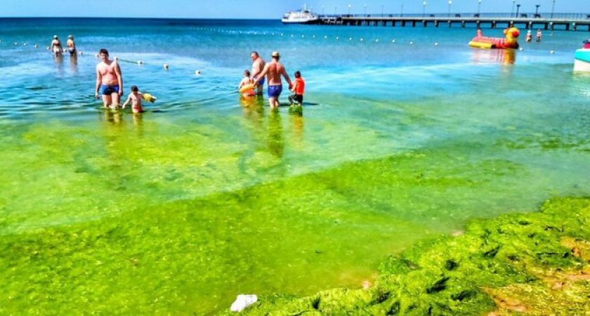 Не вздумайте сюда ехать: россияне рассказали, где худшее море на побережье Краснодарского края