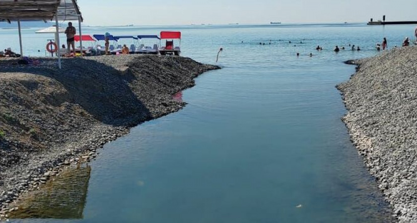 Биологи из Новороссийска ответили, почему в лагуне вода коричневого цвета