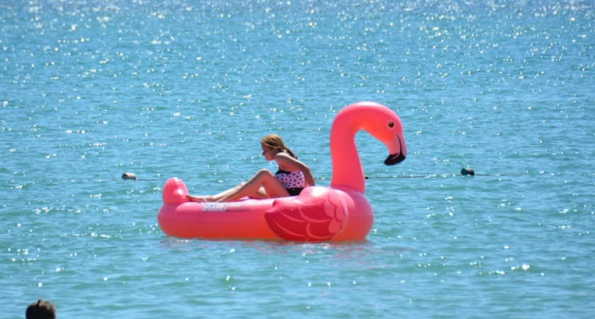 Солнышко и легкий бриз: Новороссийск встретит ноябрьские праздники 30-ти градусной жарой