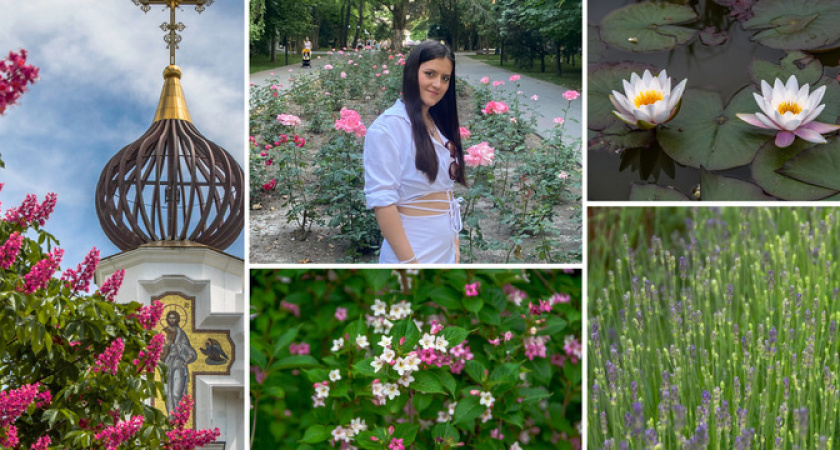 Розы, лаванда, каштаны и кувшинки: список цветущих локаций Новороссийска