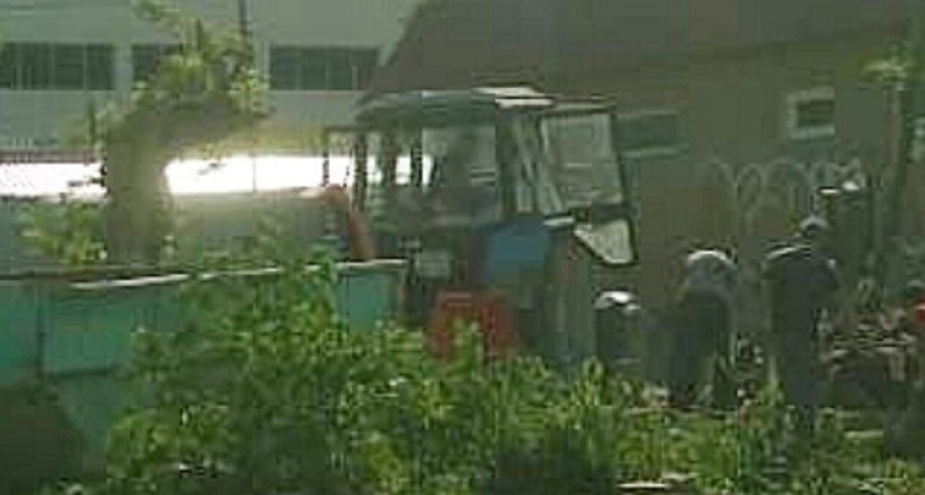 "Там стояли красивые деревья, а будет коробка с магазинами!": в сквере Чайковского Новороссийска началась вырубка многолетних деревьев