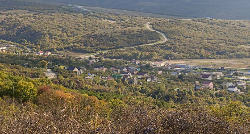 Прокуратура возбудила уголовное дело по факту вырубки леса в Новороссийске