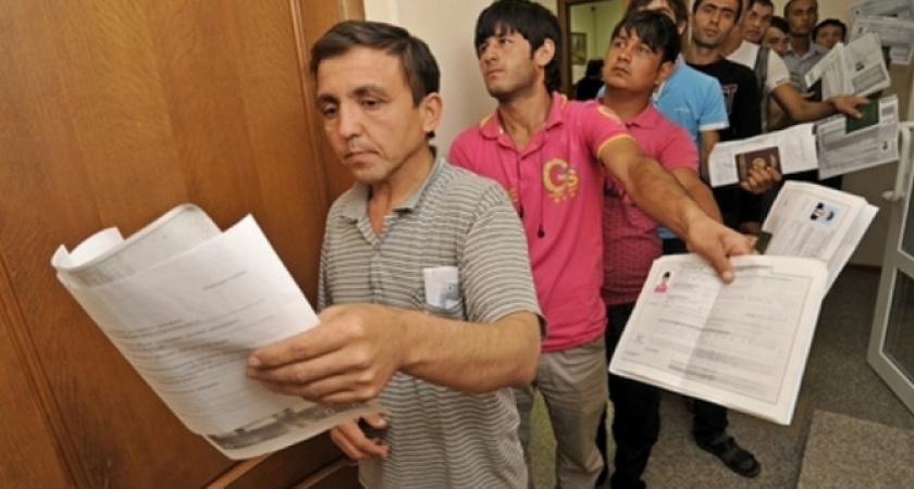 Жительница Новороссийска делала мигрантам фиктивные документы