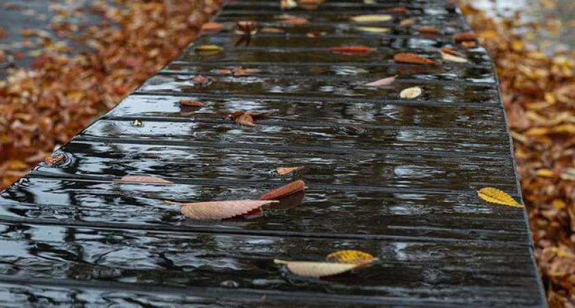 Весенняя погода возвращается: на Кубань идет потепление