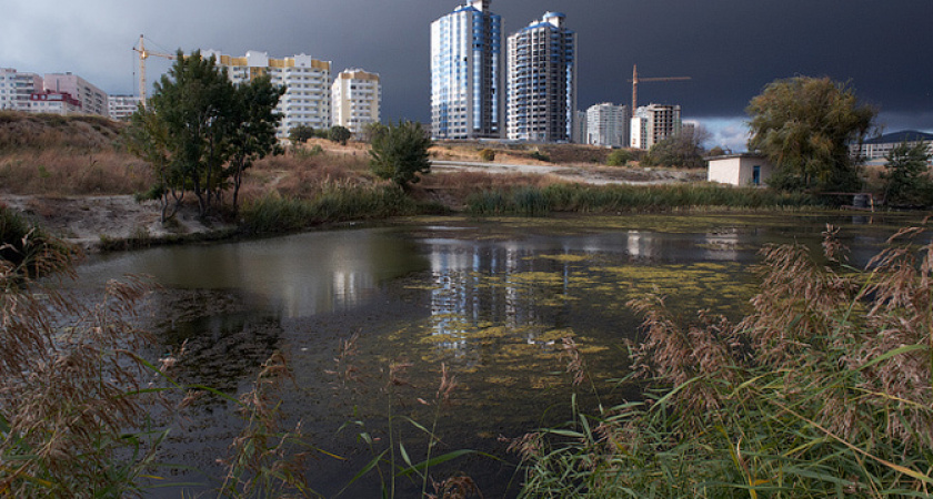Новороссийцев приглашают обсудить концепцию проекта благоустройства парка «Южные пруды»: количество мест ограничено