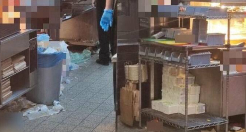 «Как в свинарнике»: новороссийцев шокировало состояние кухни одного из известного фастфуд-заведения 