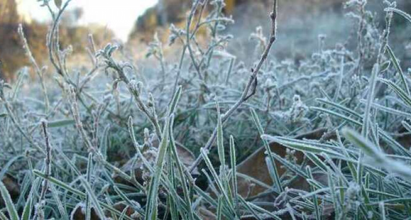 Экстренное предупреждение по заморозкам на Кубани: погода резко меняется