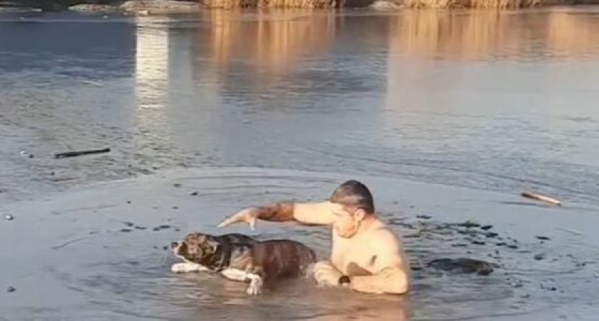 Мужчина в Новороссийске нырнул в воду, чтобы спасти провалившуюся под лед собаку