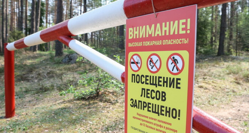 В Новороссийске введен запрет на посещение лесов