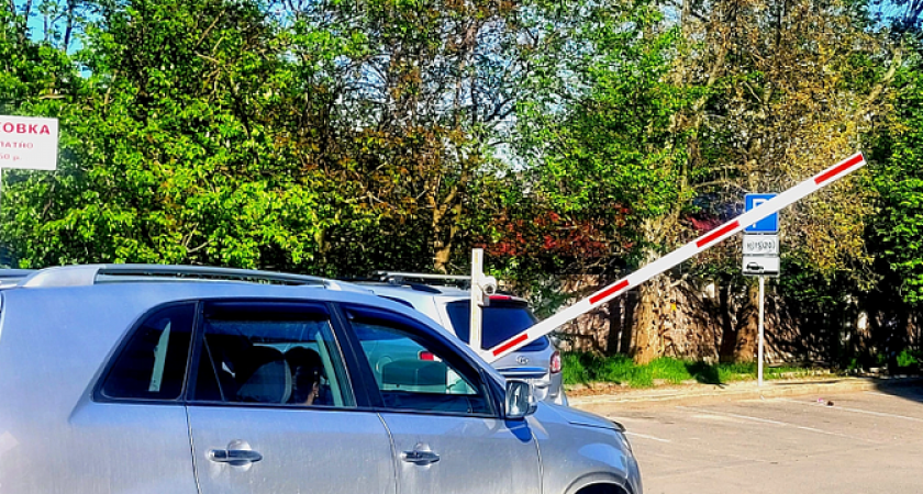 Все парковки и общественные туалеты в Новороссийске станут бесплатными