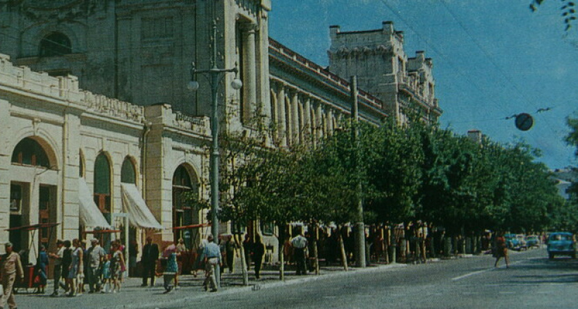 Жасмин, рябина, можжевельник, ивы и липы: какими деревьями и кустарниками озеленяли Новороссийск 70 лет назад