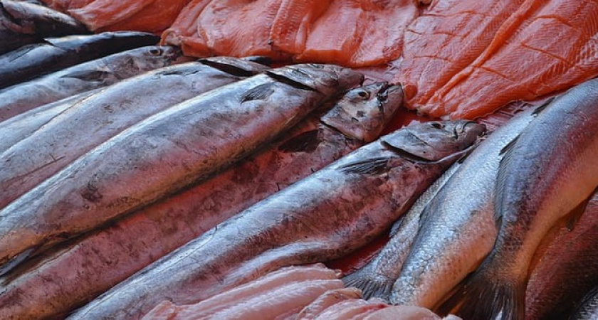 В этой рыбе нашли огромное количество ртути: она гробит печень, мозг и сердце