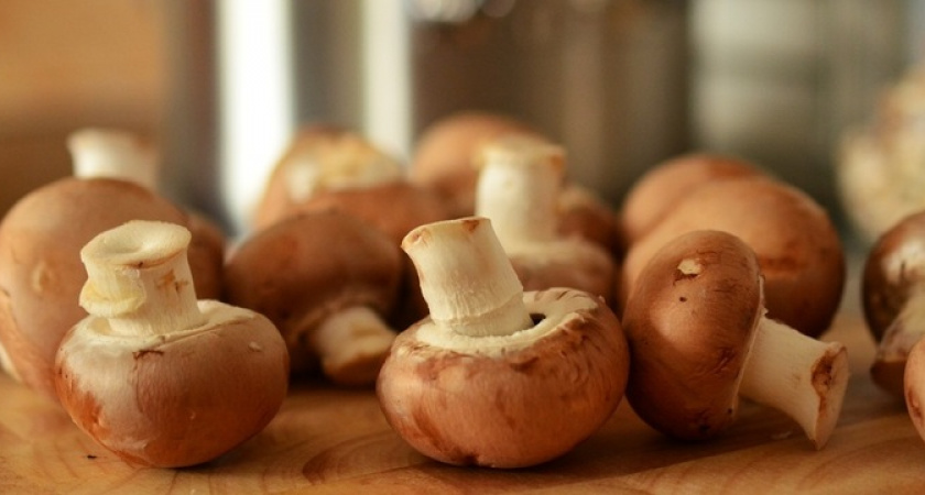 Рецепт теплого салата с шампиньонами, который вас покорит: просто и вкусно