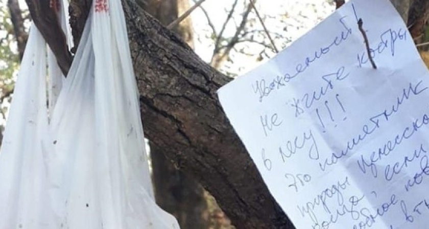 «Уважаемый, не жгите костры в лесу!»: новороссийские экологи оставили послание в Цемесской роще для местного бомжа