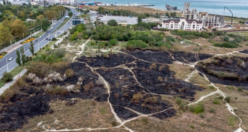 После трех возгораний в Прилагунье Новороссийска будут дежурить пожарные: пострадала ли экосистема памятника природы?
