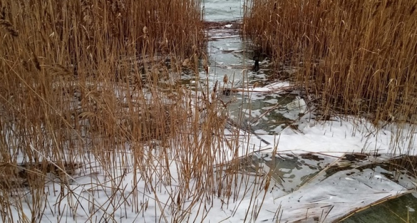 Экологи снова обнаружили пену в Суджукской лагуне Новороссийска: теперь – белую