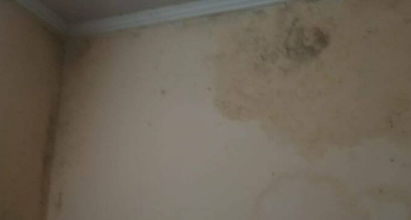 Прокуратура Новороссийска организовала проверку информации о наличии в 21 школе плесени в раздевалках 