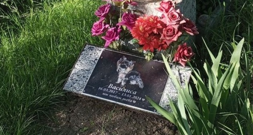 На кладбище для людей в Абрау-Дюрсо под Новороссийском похоронили собаку