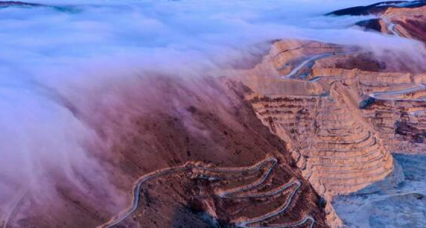 На прощанье осень укрыла Новороссийск густой "бородой": 10 завораживающих фото