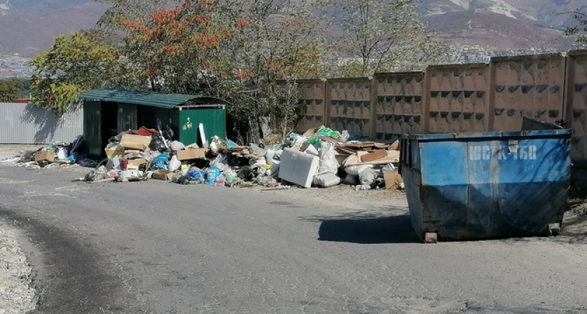 «Я люблю свой город! Но не таким…»: Новороссийск продолжает тонуть в мусоре