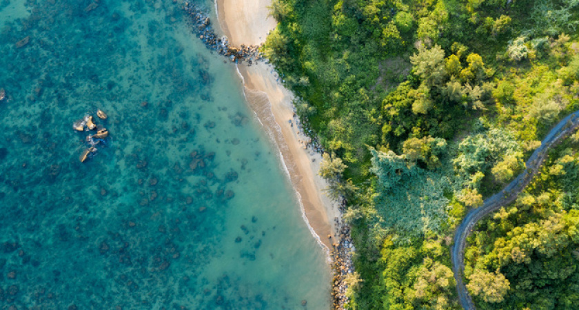 И не только пенсионеры: россияне могут отправиться на курорт бесплатно двумя способами