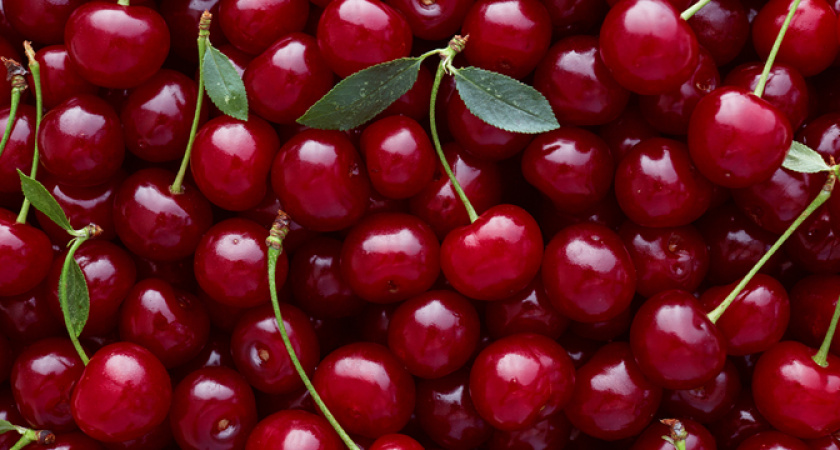 2 стакана этого порошка под дерево: вишня даст небывалый урожай 