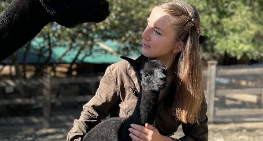 «Вот это слон!»: в геленджикском сафари-парке родился альпака гигантских размеров 