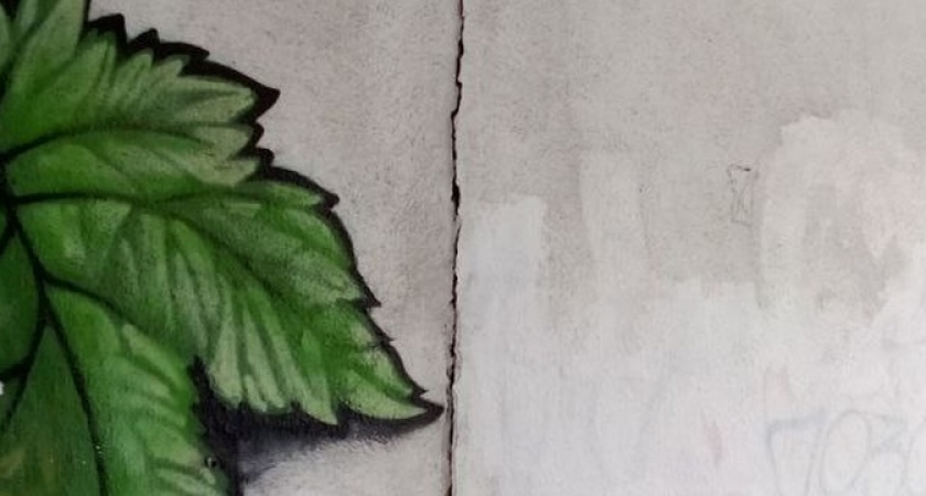 «Арка разваливается, а ремонта в подъездах не было 15 лет!»: новороссийцы с долгом по текущем ремонту почти в полмиллиона пожаловались на состояние дома