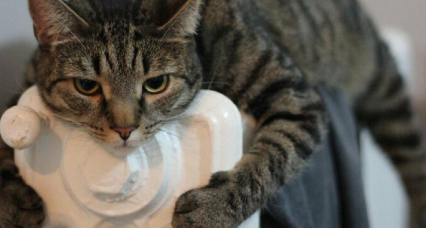 Некоторые управляющие компании и ТСЖ не платят за горячую воду и отопление: проверьте, входит ли в список ваша УК? 