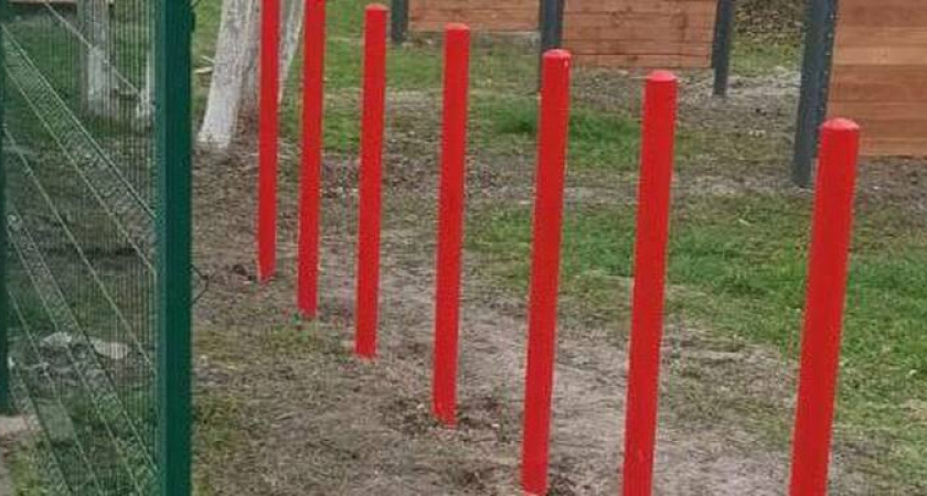 В Новороссийске в Южном районе появилась площадка для выгула собак