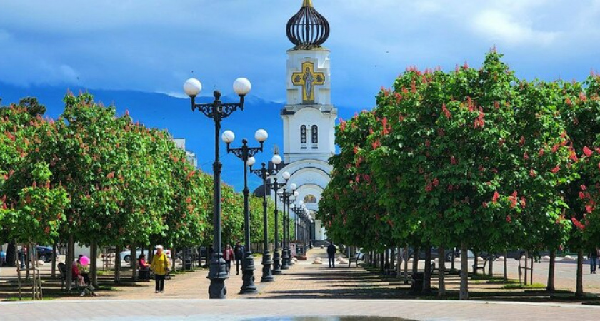 В Новороссийске зацвели розовые каштаны: 8 волшебых фото