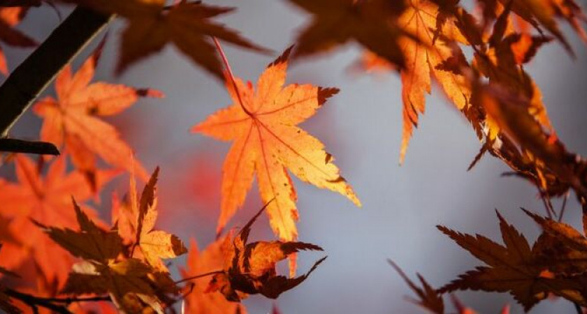 Последняя неделя сентября преподнесет сюрприз: синоптики дали прогноз