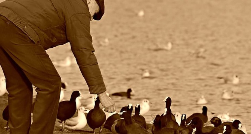 Пенсионерам рассказали о разовой выплате 10 000 рублей, которая полагается с 3 мая 