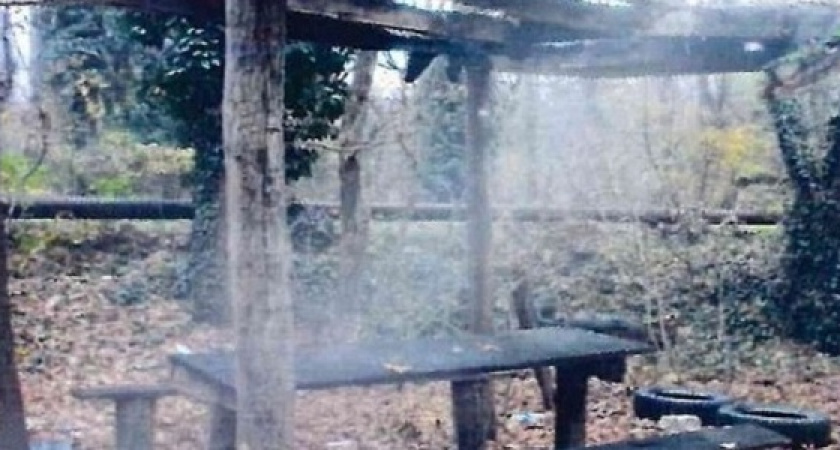 В Новороссийске ищут хозяев нелегальных павильона и беседки в Цемесской роще