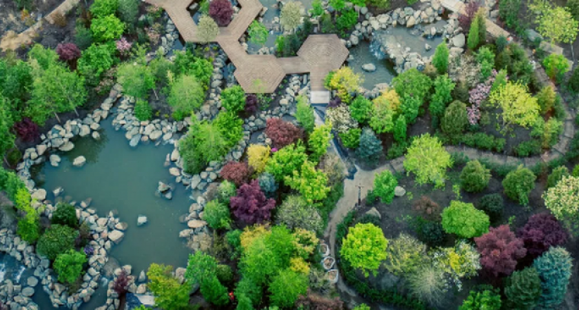 Японский сад в парке Краснодар может открыться уже 23 марта 