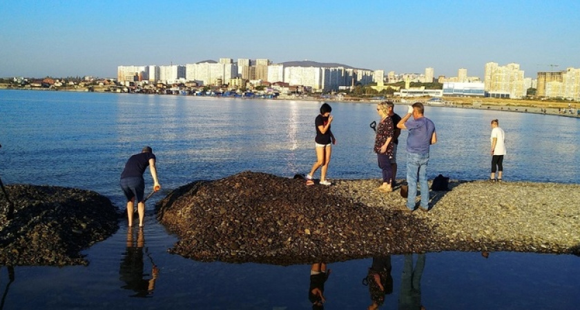 Активисты раскопали второй проран на Суджукской косе: новороссийцы спасли рыбу и крабов, застрявших в морском озерце