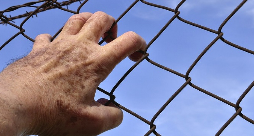 За покупки на Wildberries, Ozon и «Яндекс.Маркет» можно попасть за решётку. Случаи уже есть