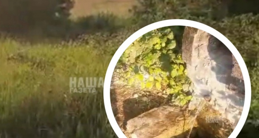 «Наш долг спасти родник!»: на 5-й бригаде в Новороссийске застройка подошла вплотную к роднику